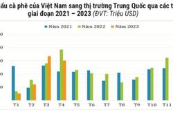 Trung Quốc giảm mua cà phê từ Việt Nam