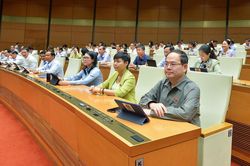 Nhiều lỗ hổng trong chính sách, pháp luật về phòng chống dịch