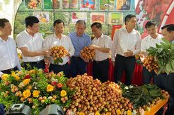 Bắc Giang đẩy mạnh tiêu thụ vải thiều chín sớm