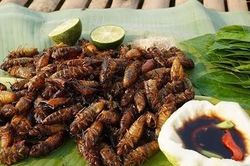Sốc nặng sau khi ăn món thường có vào mùa hè