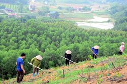 Thi đua ái quốc