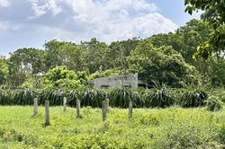 Người đàn ông tử vong bất thường ở căn nhà trong vườn thanh long