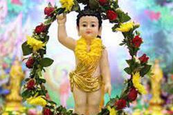 Đi lễ Phật đản muộn, 'tắm Phật' không qua nghi lễ thì làm thế nào?