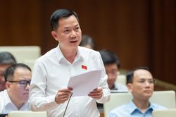 ĐBQH: Cần thay đổi văn hóa 'doanh nghiệp phải đi xin, đi chạy', khi được thì 'đã gần đất xa trời'…