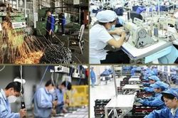 Thúc đẩy sản xuất kinh doanh, đầu tư xây dựng và xuất nhập khẩu tại 3 địa phương