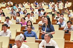 Đại biểu Quốc hội kiến nghị thanh tra toàn diện hoạt động bảo hiểm nhân thọ