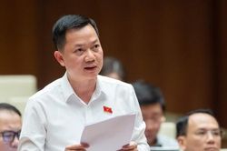 Doanh nghiệp phải đi xin đi chạy, giải quyết được thì đã 'gần đất xa trời'