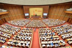 Bạo lực học đường và trách nhiệm của người đứng đầu nhà trường