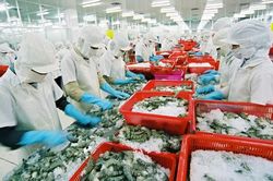 5 tháng đầu năm 2023, xuất khẩu nông lâm thủy sản trên đà phục hồi