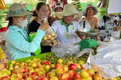 Tưng bừng lễ hội trái cây suốt mùa hè tại TPHCM