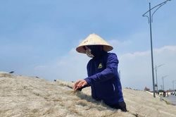 Về nơi nắng càng gay gắt, dân càng vui