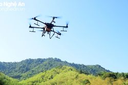 Dùng máy bay không người lái phun thuốc diệt châu chấu phá hoại rừng mét