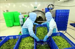 Trái cây Việt tiếp tục bứt phá