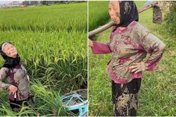 2 cụ bà đèo nhau đi ruộng trên xe đạp gặp cảnh 'dở khóc dở cười', từ đó chẳng ai thèm nói với ai câu gì