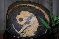 Nhặt được hòn đá có hình gấu trúc, người đàn ông vô tình mang 'kho báu' hơn 300 trăm tỉ về nhà