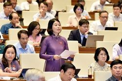 Quan tâm đẩy mạnh phát triển kinh tế - xã hội cho vùng căn cứ kháng chiến