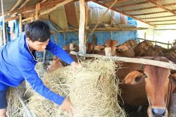 Tăng cường giám sát, đẩy mạnh giải ngân
