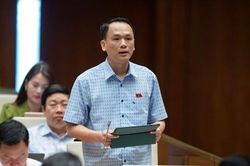 Đại biểu Quốc hội: Quy định rõ tiêu chí thăng hàm cấp tướng trước thời hạn