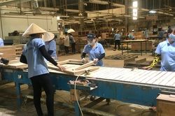 Mỹ tiếp tục gia hạn kết luận cuối cùng điều tra lẩn tránh thuế đối với gỗ dán