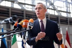 NATO hối thúc Thổ Nhĩ Kỳ bật đèn xanh cho Thụy Điển gia nhập