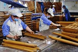 Bộ Tài chính phản hồi về hoàn thuế VAT đối với gỗ, cao su