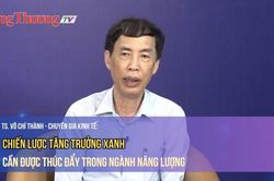 Chiến lược tăng trưởng xanh cần được thúc đẩy trong ngành năng lượng