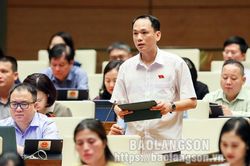 Đại biểu Quốc hội tỉnh góp ý vào Luật sửa đổi, bổ sung một số điều của Luật Công an nhân dân