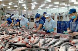 Thủy sản Nam Việt: Dự kiến lợi nhuận năm nay giảm 35%, chia cổ tức bằng tiền với tỷ lệ 10%
