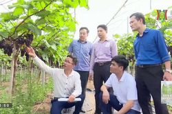 Phát triển nông nghiệp sinh thái kết hợp du lịch | Ứng phó với biến đổi khí hậu | 02/06/2023