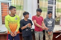 Bắt nhóm thanh niên cầm hung khí, chặn đường đập phá xe khách ở Đắk Lắk