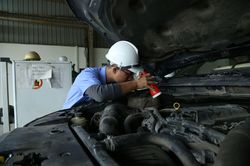 Hơn 1,9 triệu ô tô dưới 9 chỗ chính thức được tự động gia hạn kiểm định, chủ xe in giấy cách nào?