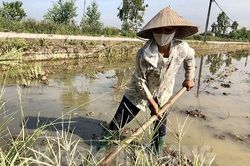 Miền Bắc sắp được 'giải nhiệt'