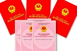 Đất không có sổ đỏ có được chia thừa kế không?