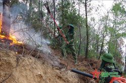 Quân khu 4 chủ động phòng, chống cháy rừng