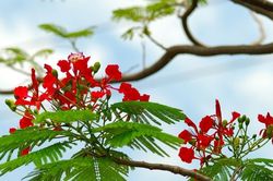 Chi hàng chục triệu cho lễ tri ân: Trọng chữ tình hay ưa hình thức?