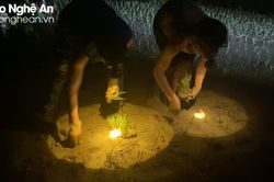 Nông dân Yên Thành làm đất, cấy lúa xuyên đêm tránh nắng nóng