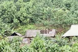 Yên Bái: Một người mất tích, hàng trăm nhà dân bị thiệt hại do dông lốc