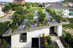 8 cách chống nóng cho ngôi nhà, vừa đơn giản lại hiệu quả