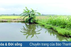 Ký ức về một phần hồn quê dung dị