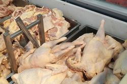 Ngăn gà thải nhập lậu, cơ quan hải quan buộc tái xuất hoặc tiêu hủy lô hàng không đủ điều kiện