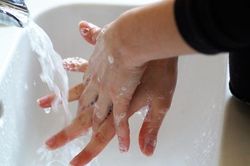 Bị sa thải vì không xả nước bồn cầu, không rửa tay sau khi vệ sinh