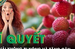 4 việc nên làm khi ăn vải để không bị nóng và tăng cân