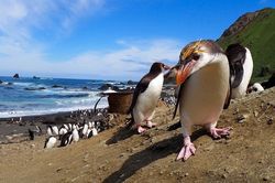 Australia sẽ có công viên hải dương diện tích lớn hơn Việt Nam, Nhật Bản