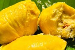 Trứng gà chỉ 14 ngàn đồng/chục, sầu riêng Musang King rẻ không ngờ