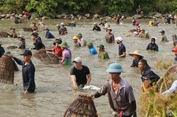 Nghìn người đội nắng lao xuống đầm bắt cá cầu may