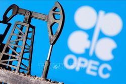 OPEC+ cân nhắc tiếp tục cắt giảm sản lượng dầu mỏ
