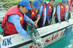 Lễ hội thả sinh vật biển bảo vệ môi trường vịnh Nha Trang
