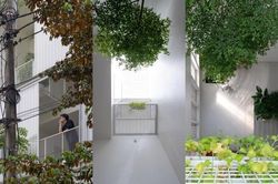 Thay đổi cao độ mặt sàn, nhà Việt khiến báo ngoại 'ngả mũ'
