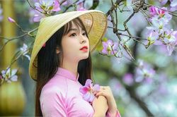 Tử vi 12 cung hoàng đạo từ 5-11/6: Bạch Dương, Nhân Mã bội thu