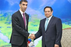 Sớm hoàn thành đàm phán về Hiệp định Đối tác kinh tế toàn diện Việt Nam - UAE